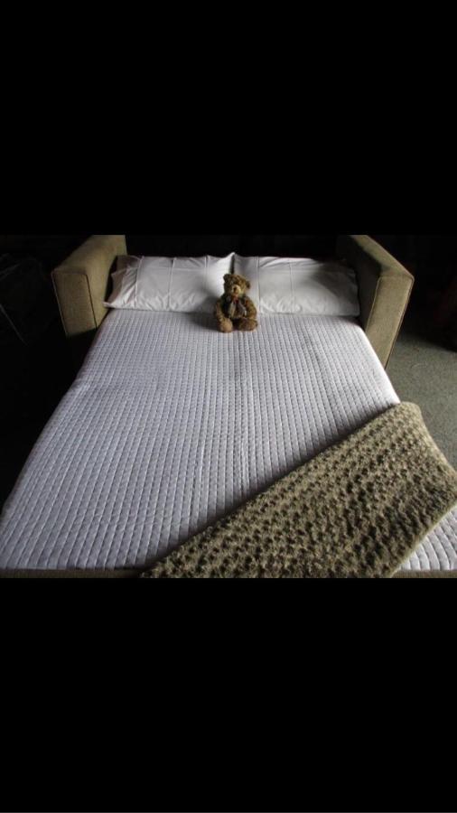 Wee Blue Bnb- Central Cosy Villa Timaru Bagian luar foto